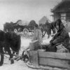Немецкие обозы.Зима 1941-42гг.