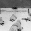 Перед немецкими позициями.Западнее Ржева,ноябрь 1942г.